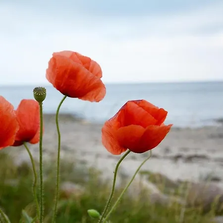 Seepark Seehund 2 Дом отдыха *