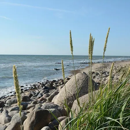 Дом отдыха Seepark Seehund 2